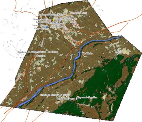 Classified Walnut Trees, Vinay France